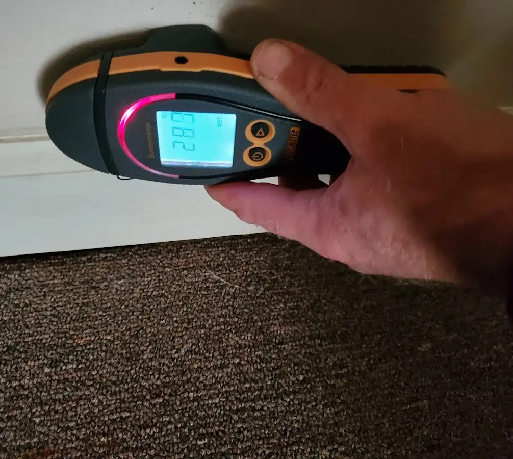 Moisture detection at baseboard during Mold Inspection & Testing in Rincon Valley